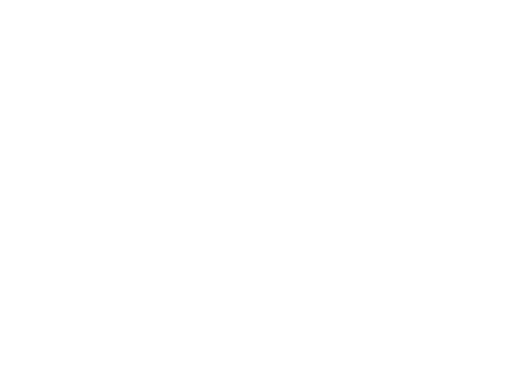 The Sunset Run